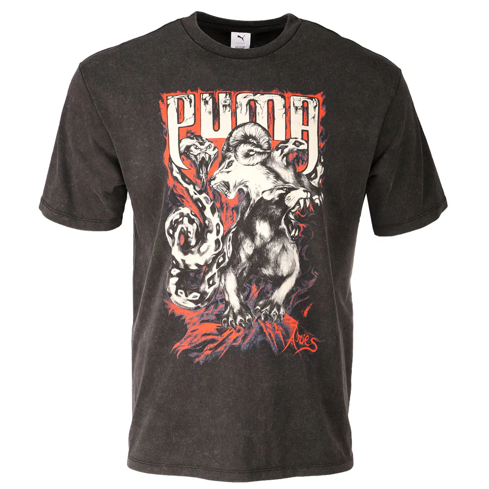 Aries Graphic Crew Neck Short Sleeve T-Shirt