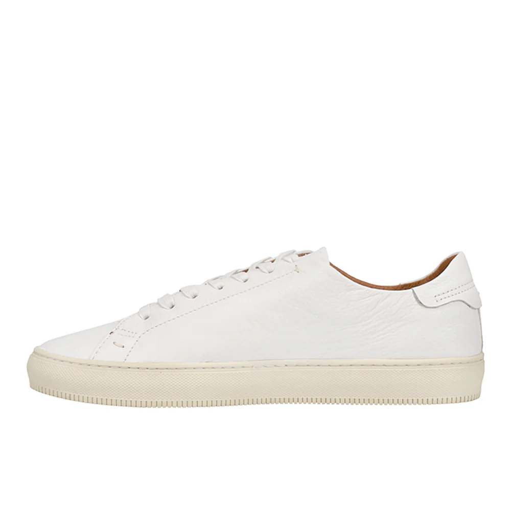 Astor Low Lace Up Sneakers - Image 3