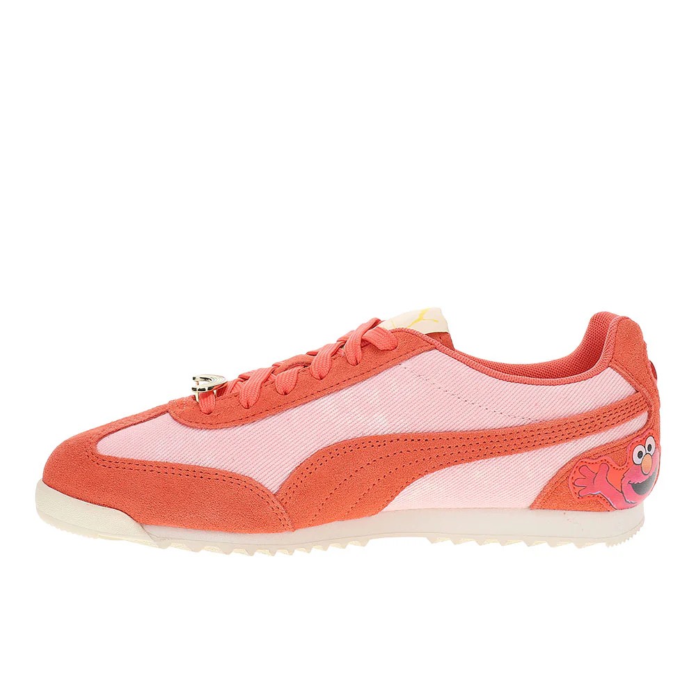 Carebears X Sesame Street Arizona Lace Up Sneakers - Image 3