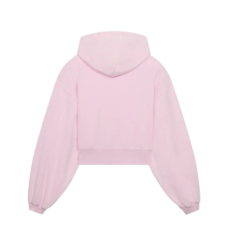 Carebears X Sesame Street Relaxed Pullover Hoodie - Image 2