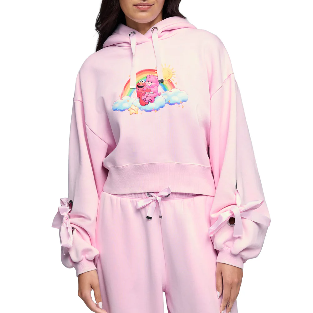 Carebears X Sesame Street Relaxed Pullover Hoodie - Image 3