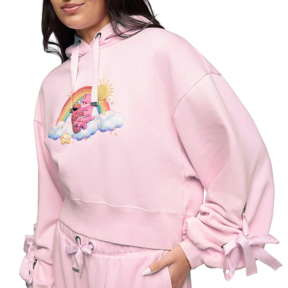 Carebears X Sesame Street Relaxed Pullover Hoodie - Image 4