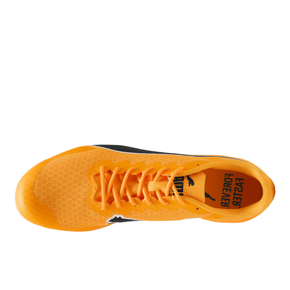 Evospeed Star 9 Track & Field Sprinting Spikes - Image 4