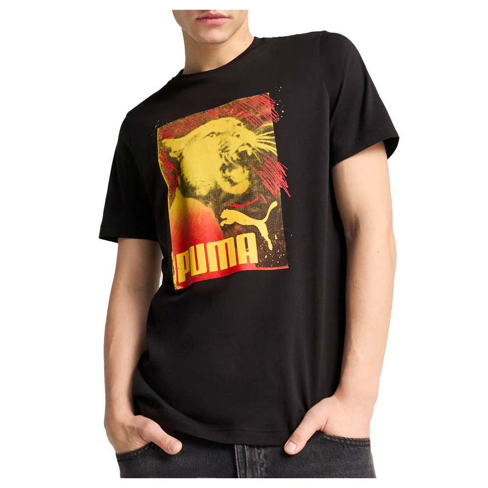 Graphics Photoprint Crew Neck Short Sleeve T-Shirt - Image 3