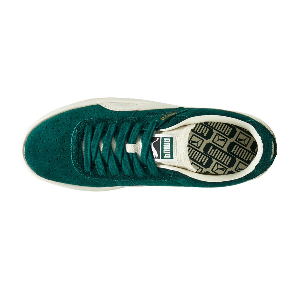 GV Special Suede Lace Up Sneakers - Image 4