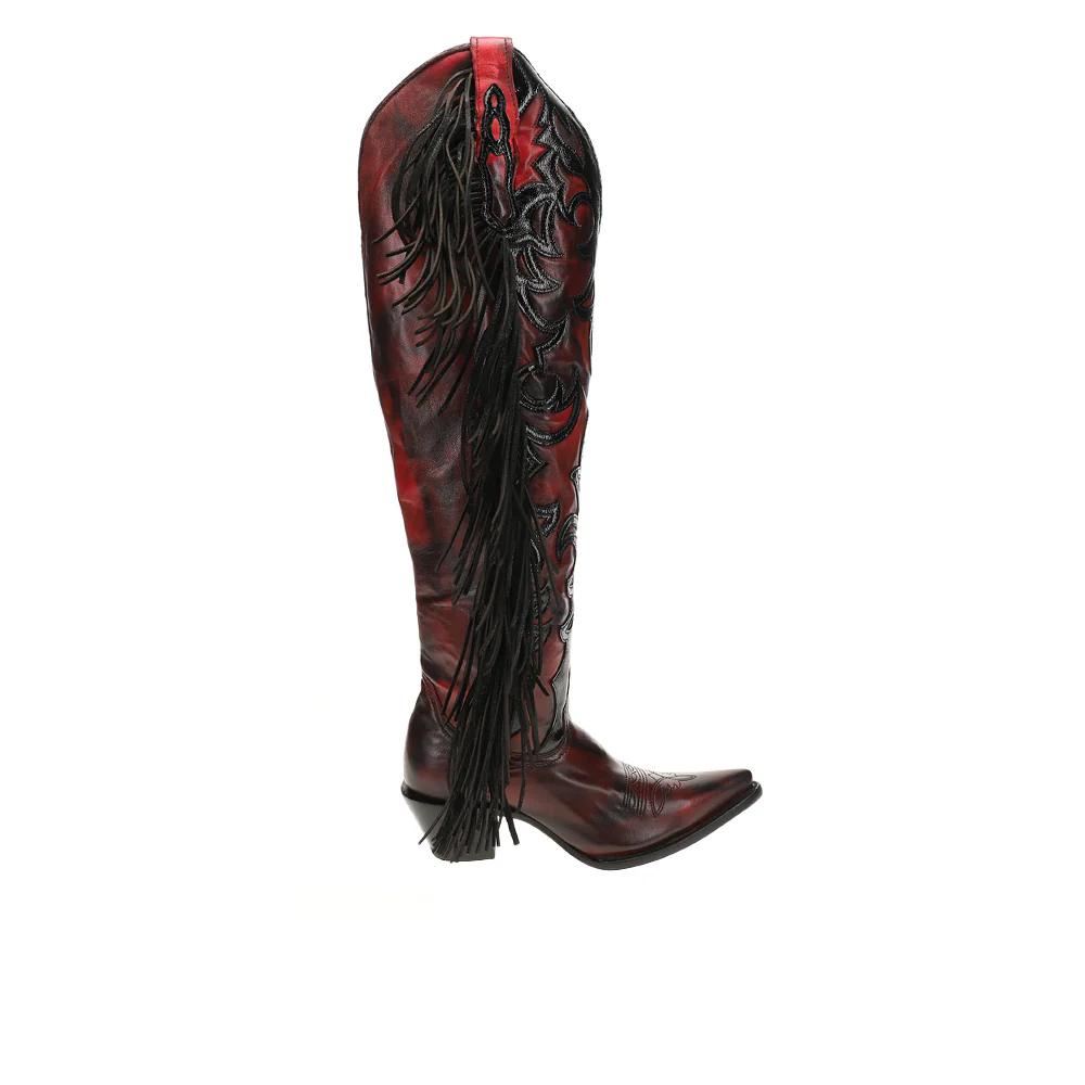 Overlay Embroidered Fringe Tall Zippered Pointed Toe Cowboy Boots