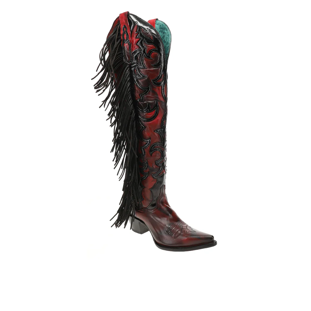 Overlay Embroidered Fringe Tall Zippered Pointed Toe Cowboy Boots - Image 2