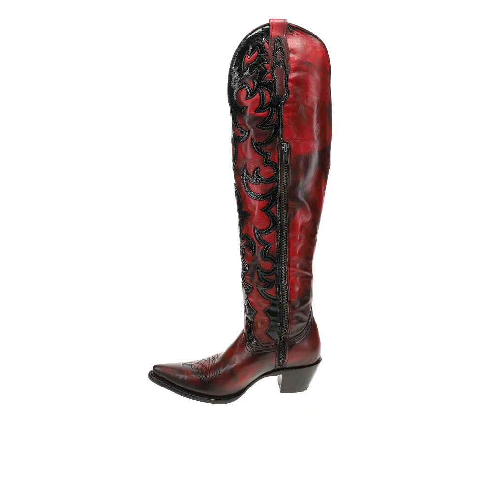 Overlay Embroidered Fringe Tall Zippered Pointed Toe Cowboy Boots - Image 3