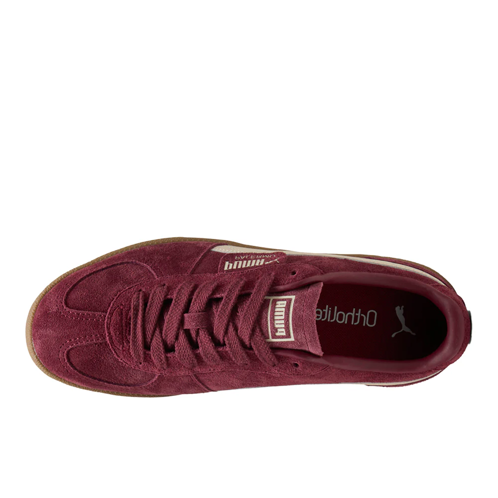 Palermo Lace Up Sneakers - Image 4