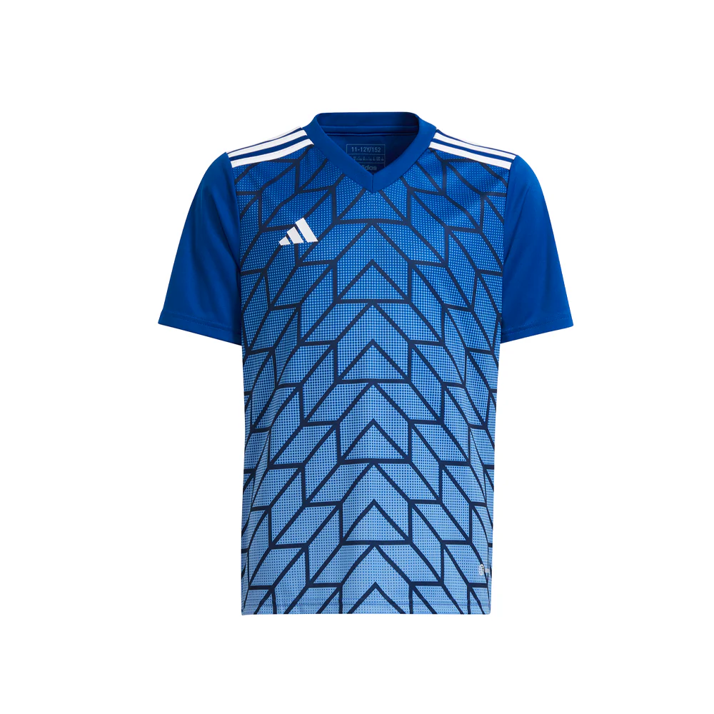 T Icon 23 V Neck Short Sleeve Soccer Jersey (Youth)