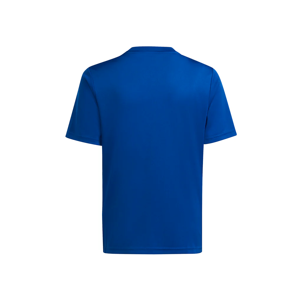 T Icon 23 V Neck Short Sleeve Soccer Jersey (Youth) - Image 2