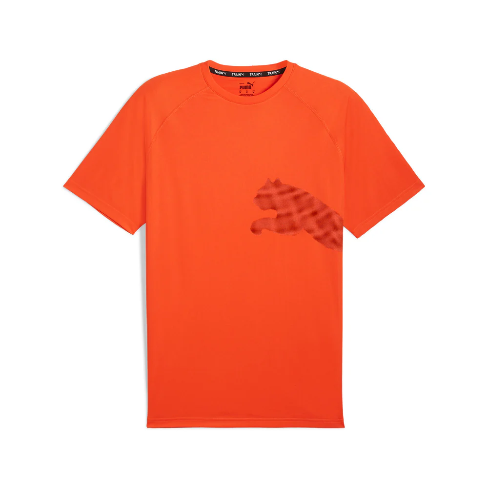 Train All Day Big Cat Crew Neck Short Sleeve Athletic T-Shirt - Image 3